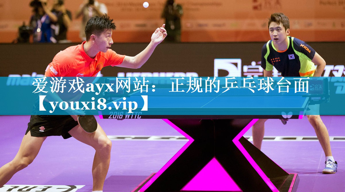 正规的乒乓球台面 正规的乒乓球台面